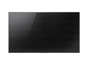 Sony FW-49BZ35F Display
