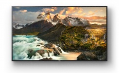 Sony FWD-100ZD9501 / Bild 2 von 8